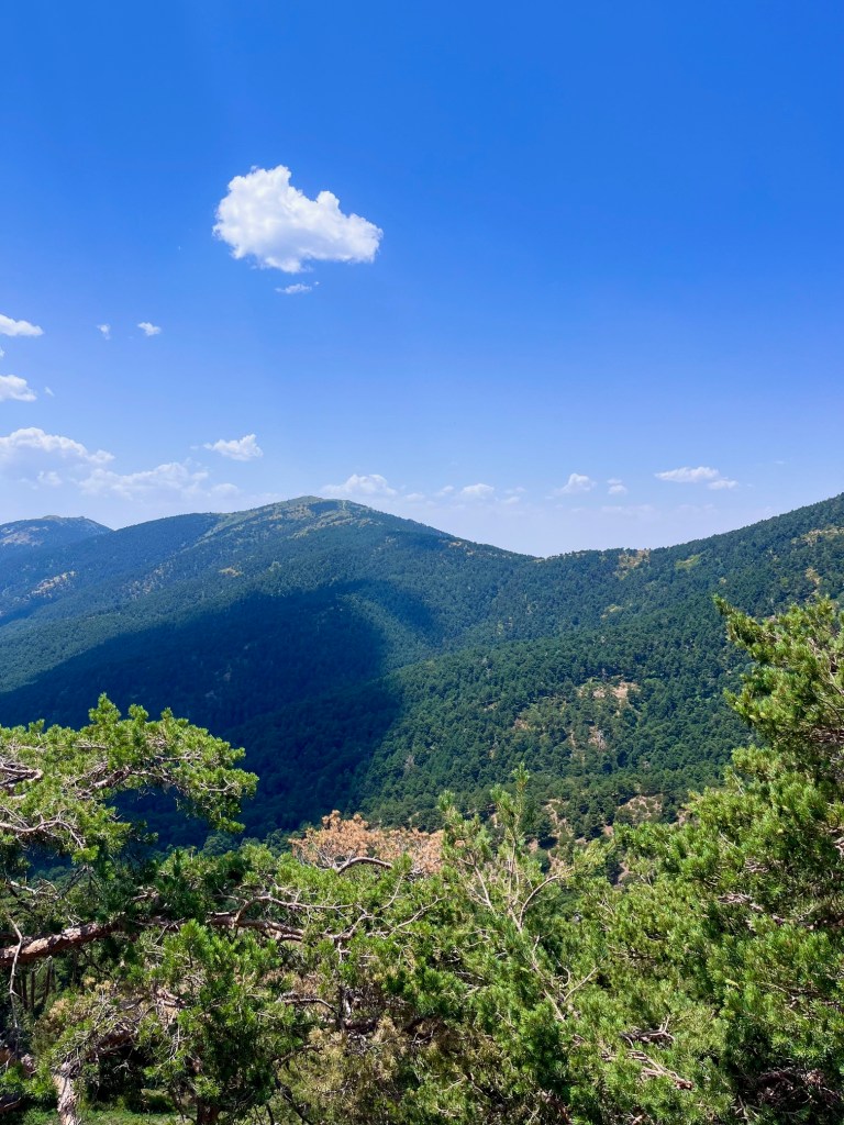 dramatic mountain and forrest views walking Collado Ventoso trail